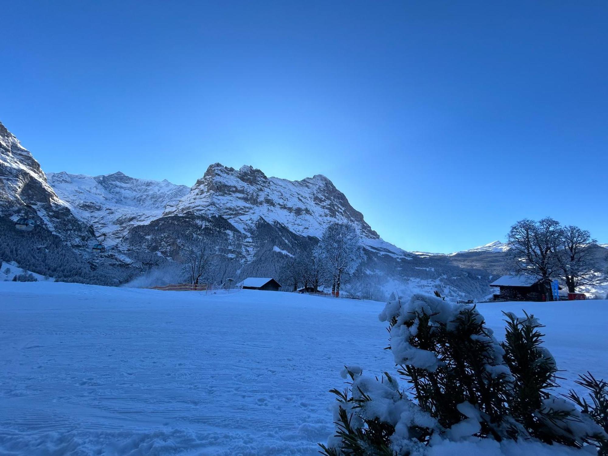 Hotel Bodmi Grindelwald Exteriör bild