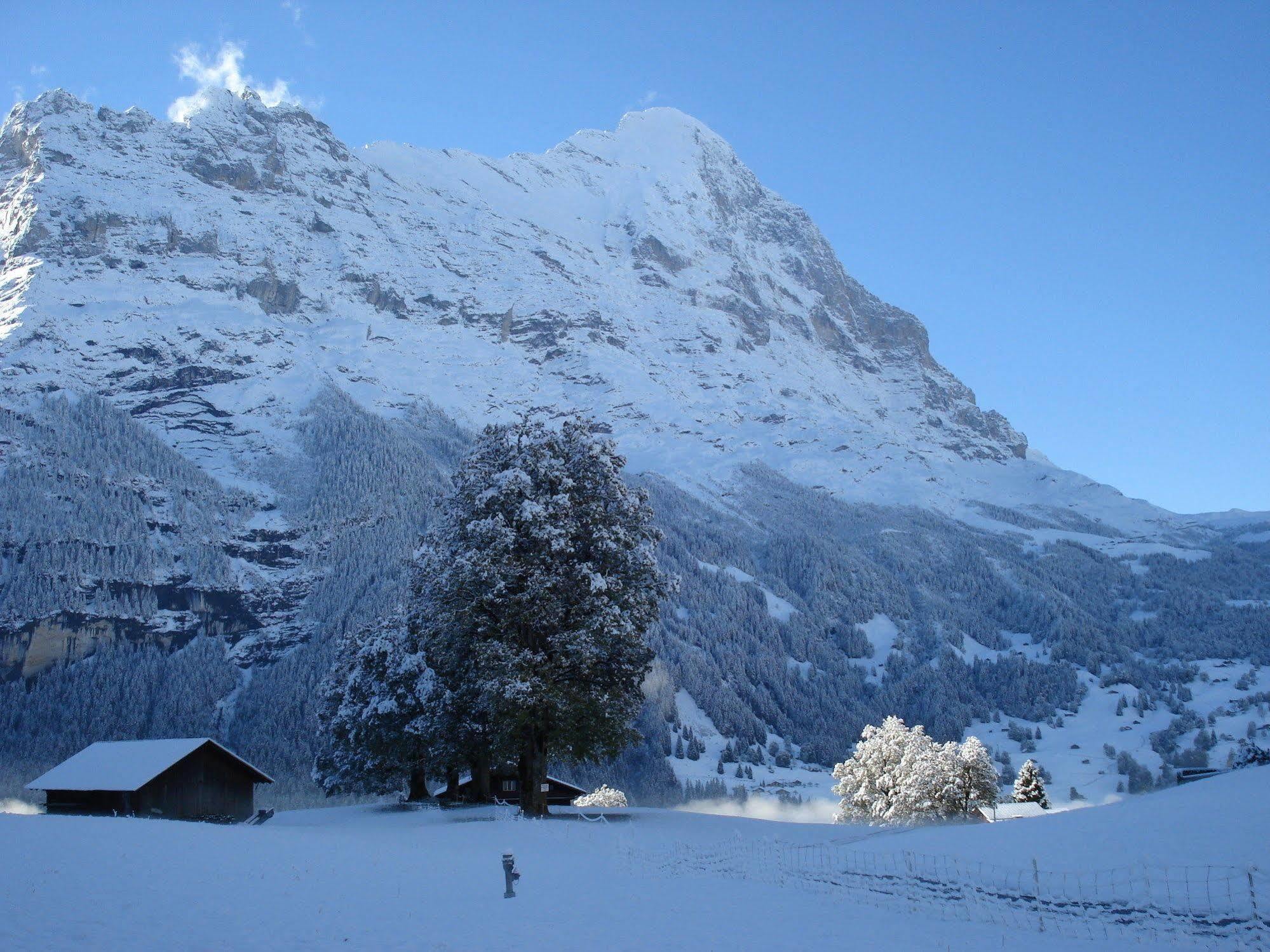 Hotel Bodmi Grindelwald Exteriör bild